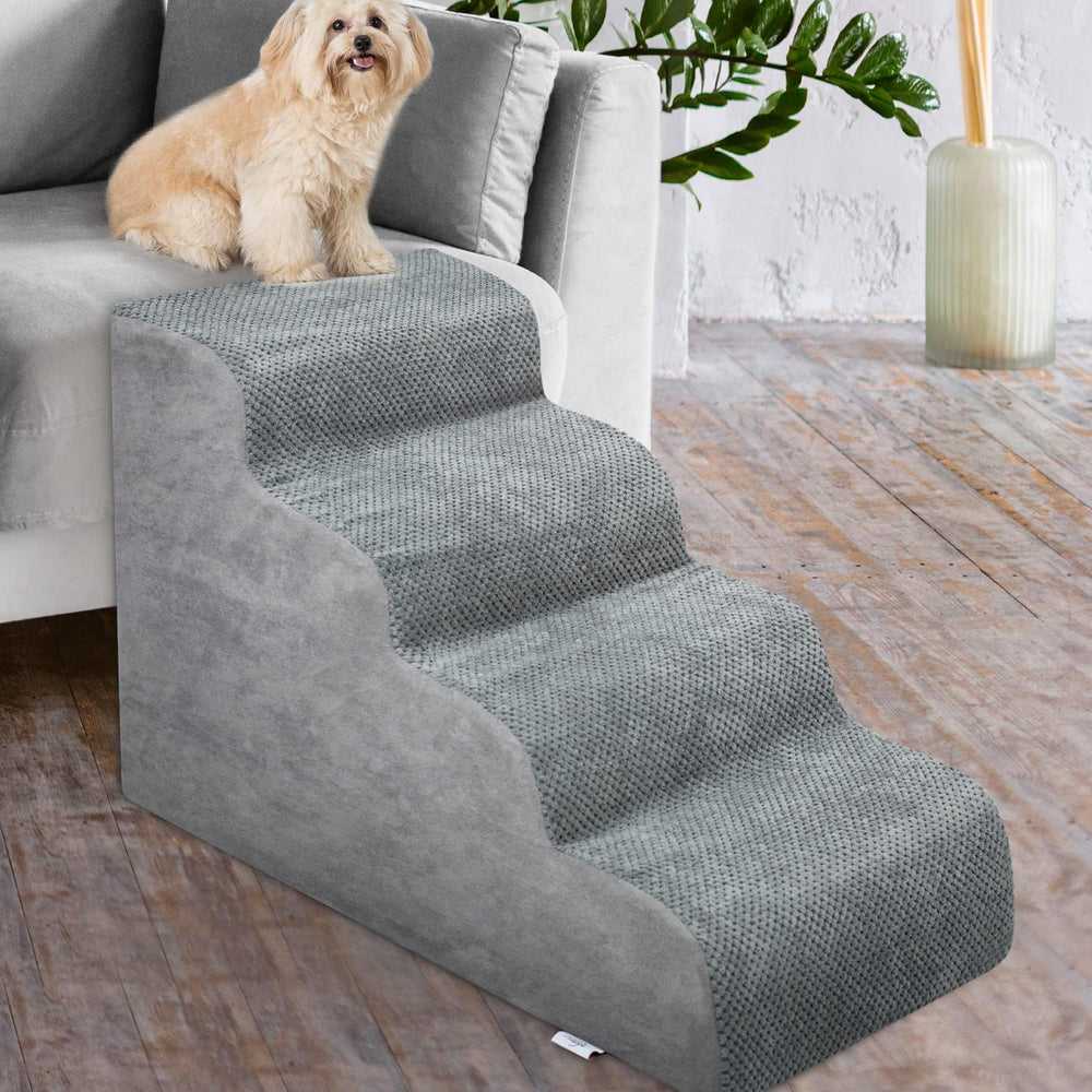 Niubya comparaison taille avec petit chien pour visualiser échelle