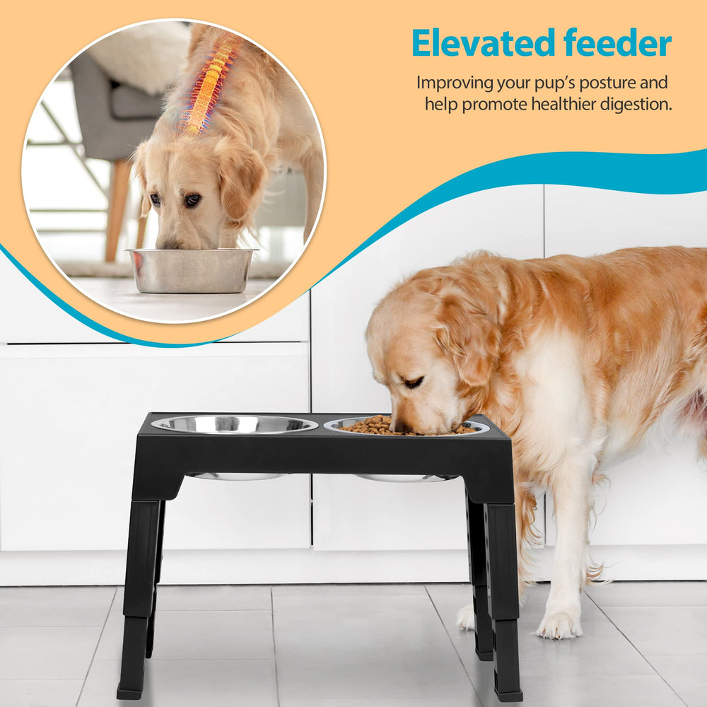 Niubya en usage avec chien moyen facilitant l'accès à la nourriture