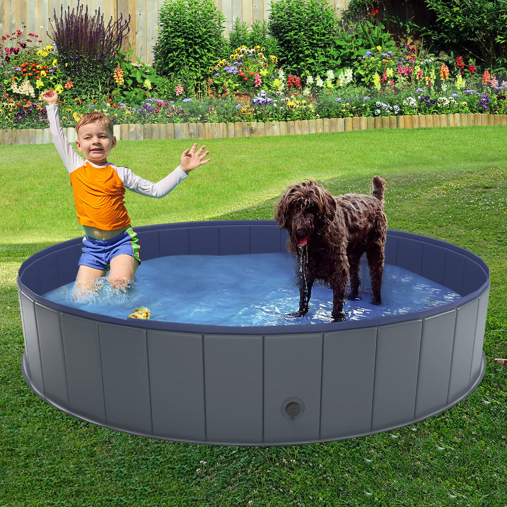 Niubya chien profitant de la piscine pour rafraîchir et jouer
