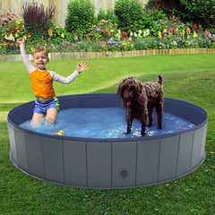 Niubya chien profitant de la piscine pour rafraîchir et jouer