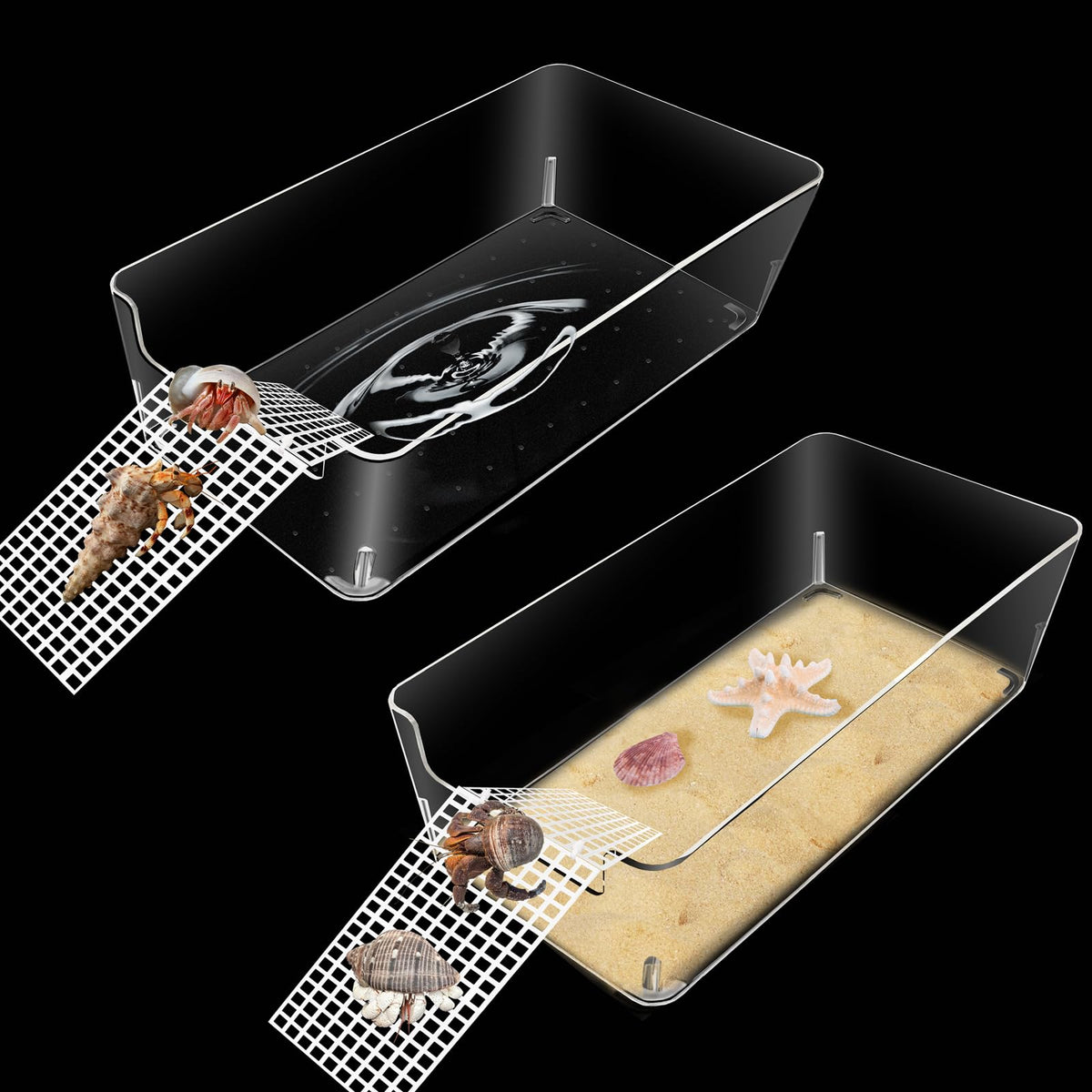 Niuohoy bac avant transparent montrant accès et visibilité pour observation