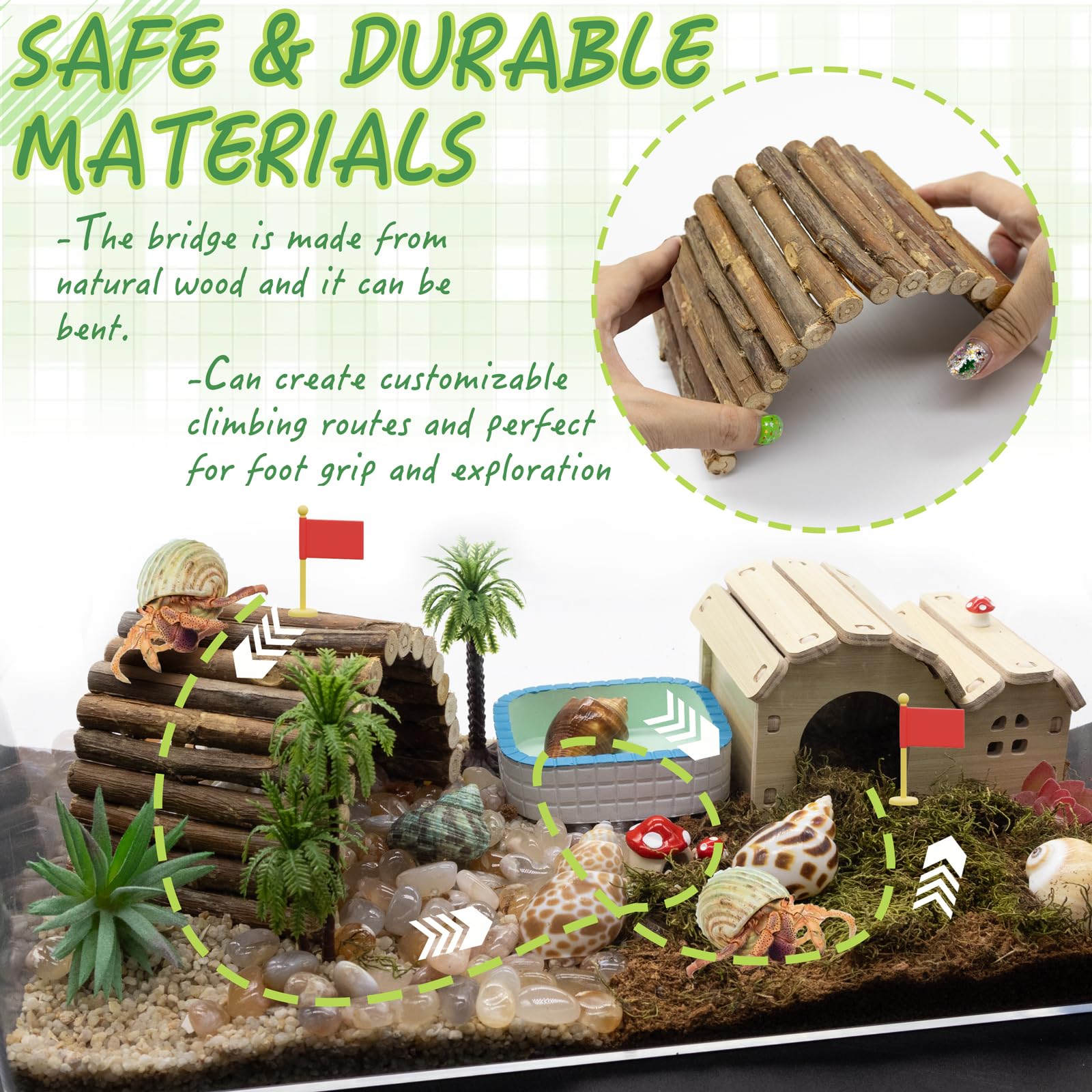 Niuohoy kit installé dans terrarium stimulant exploration animale