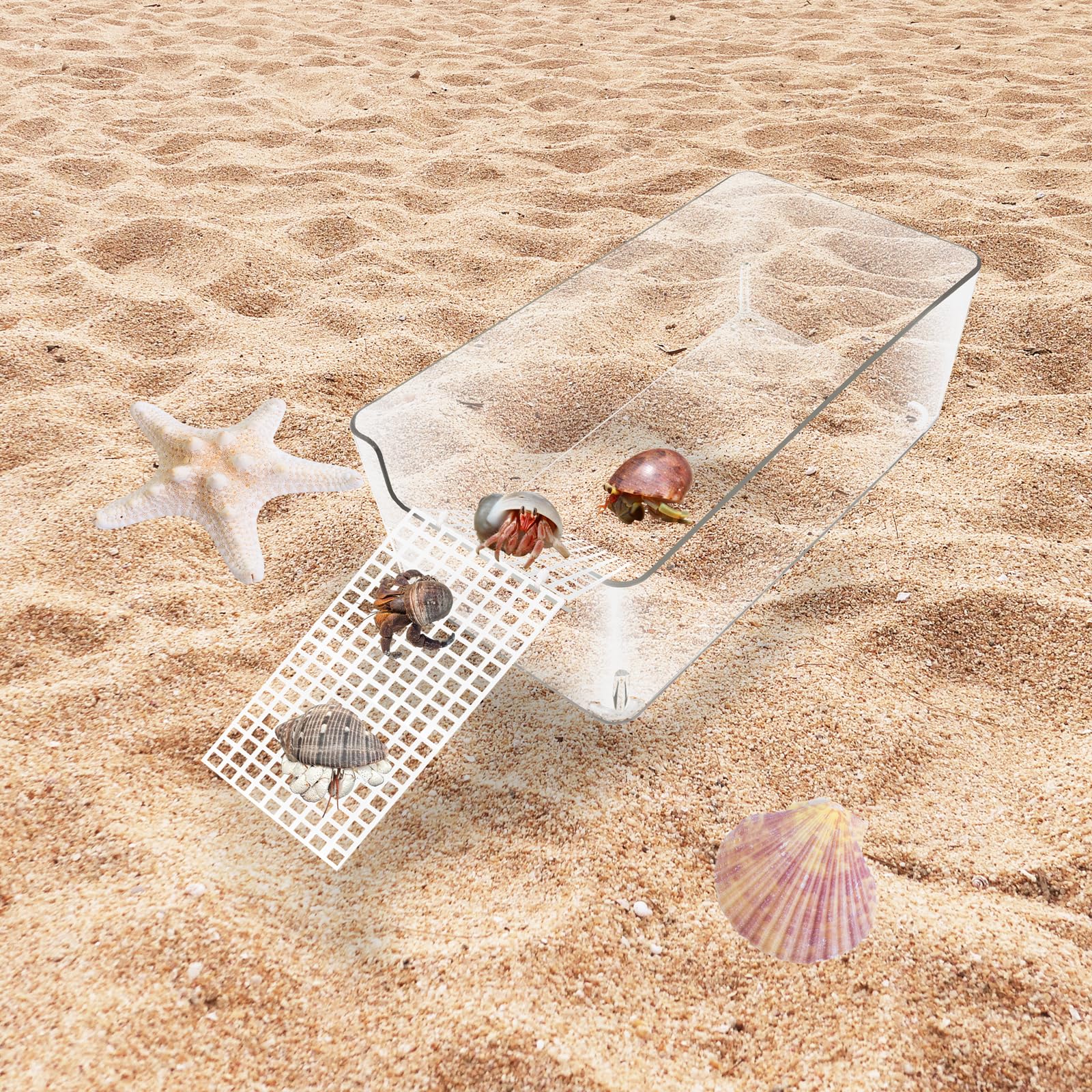 Niuohoy bac décoré sable et pierres pour habitat enrichi et naturel