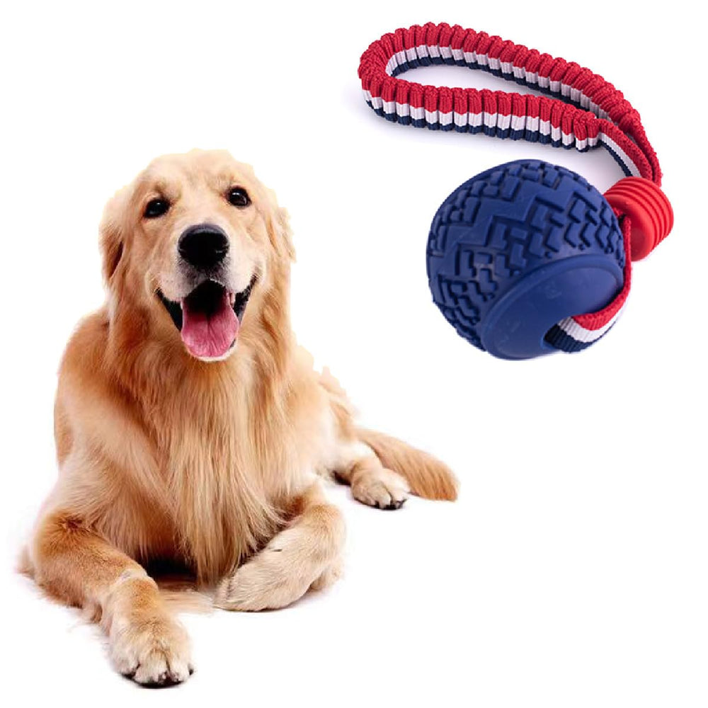 Nlmskzzy mise en scène lifestyle avec balle, idéal pour promenades et entraînements