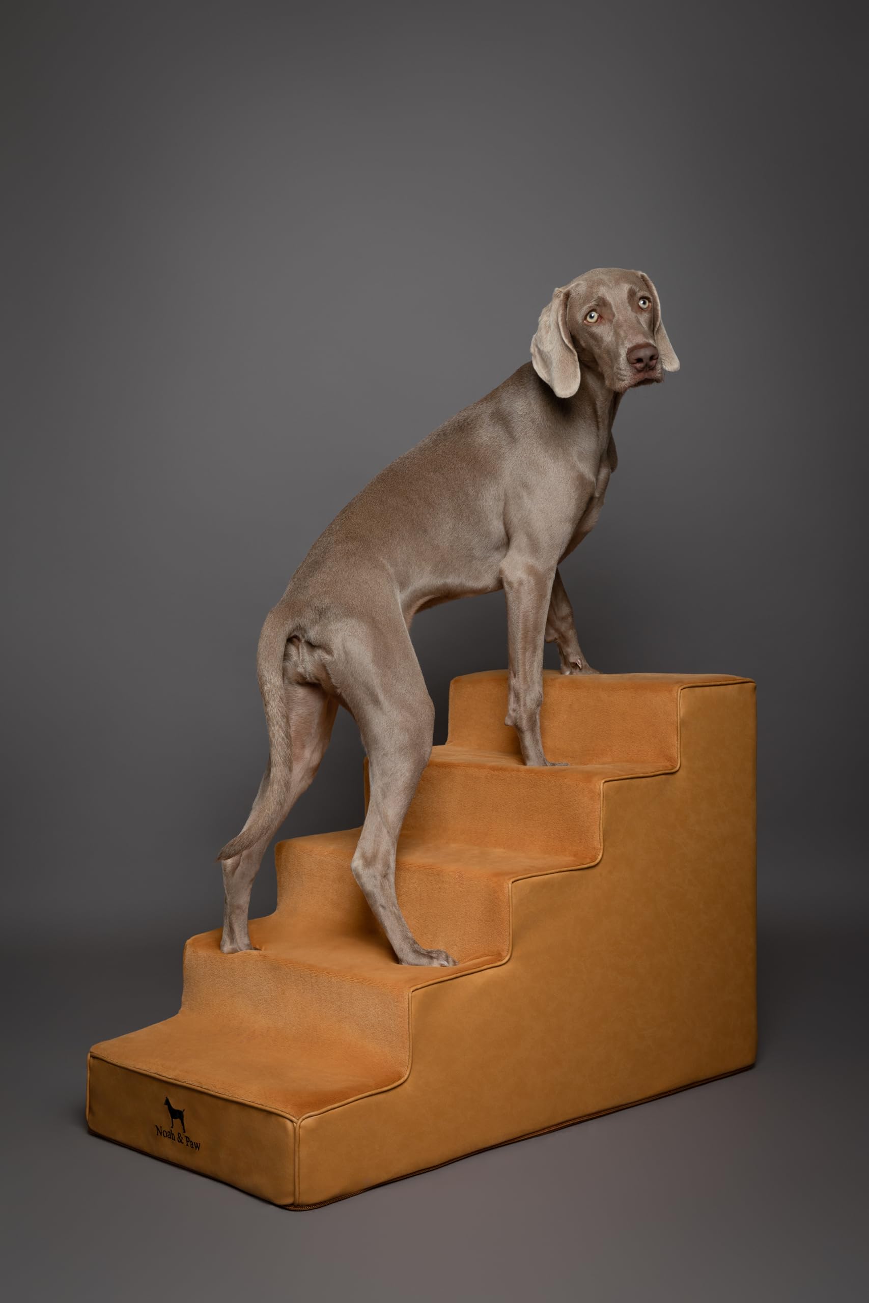 Noah & Paw comparaison tailles 3,4,5 marches pour choisir hauteur
