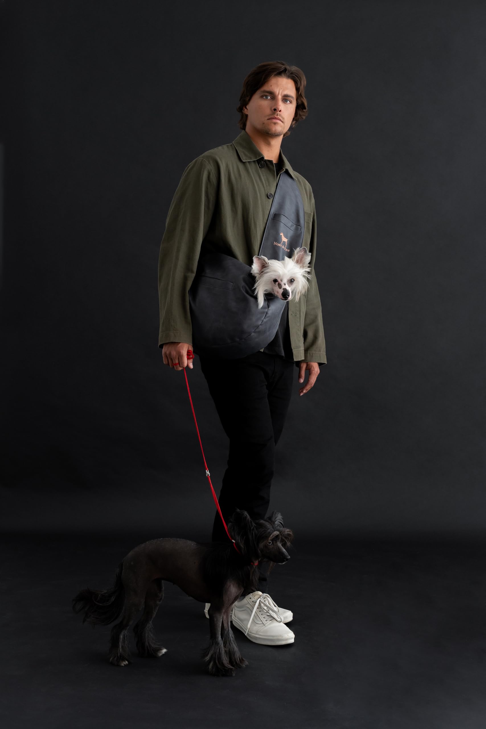 NOAH & PAW comparaison taille montrant un petit chien à l’échelle de la main