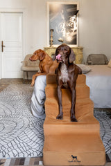 Noah & Paw détail housse éco-cuir pour un intérieur soigné