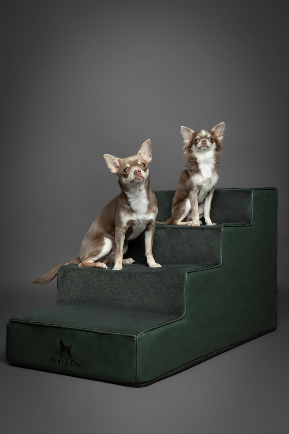Noah & Paw comparaison tailles 3 4 5 marches pour choisir la hauteur