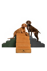 Noah & Paw marches face avant montrant stabilité et design élégant