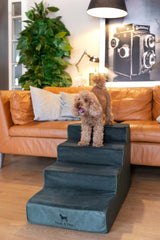 Noah & Paw gros plan mousse haute densité illustrant soutien durable