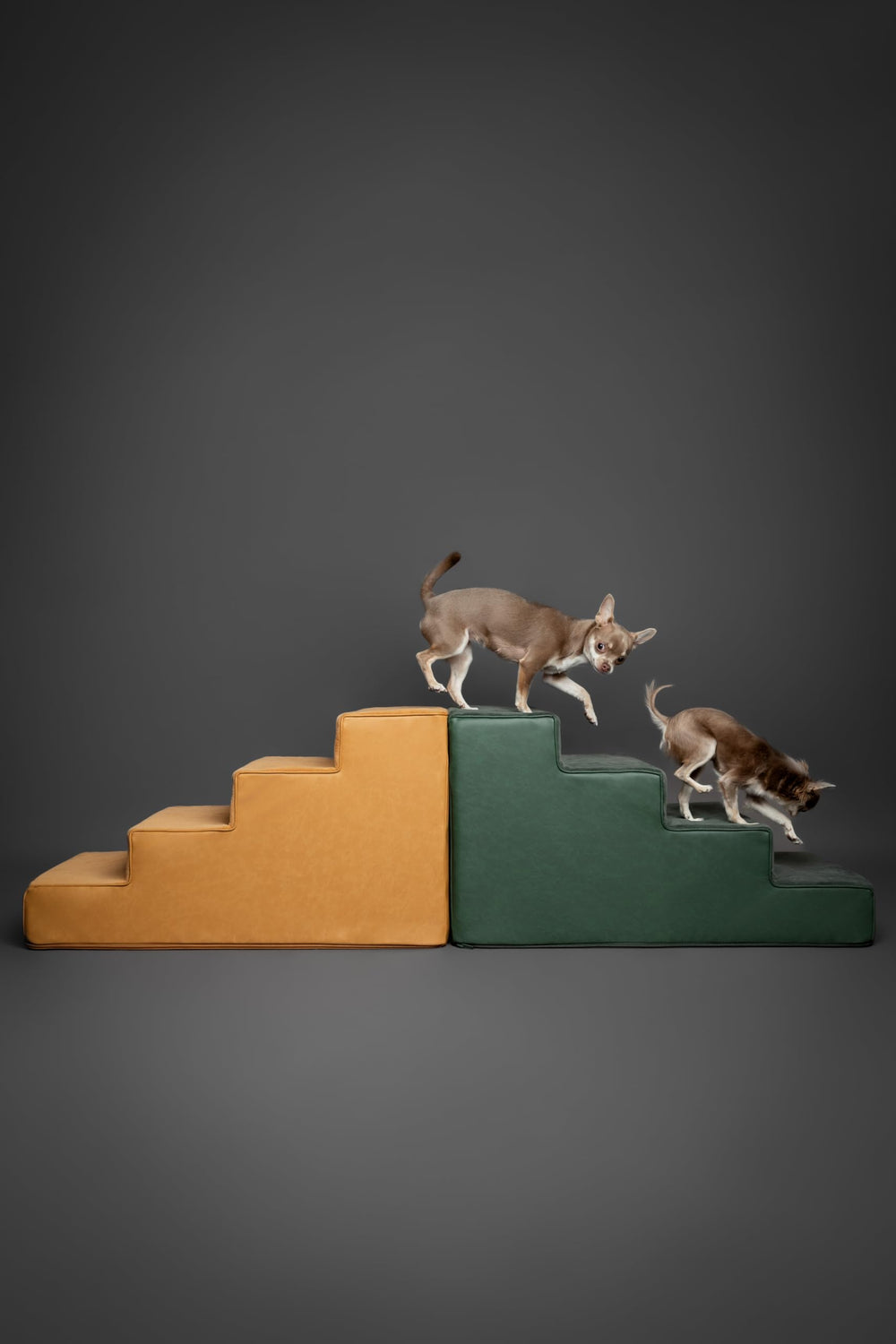 Noah & Paw marches rangée compacte montrant rangement et gain de place
