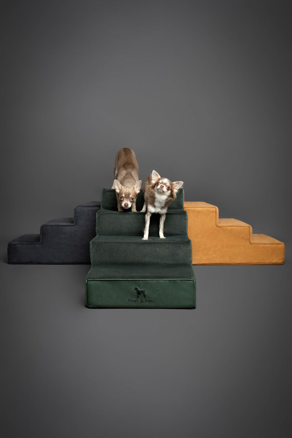 Noah & Paw marches dans un salon moderne intégrées au décor