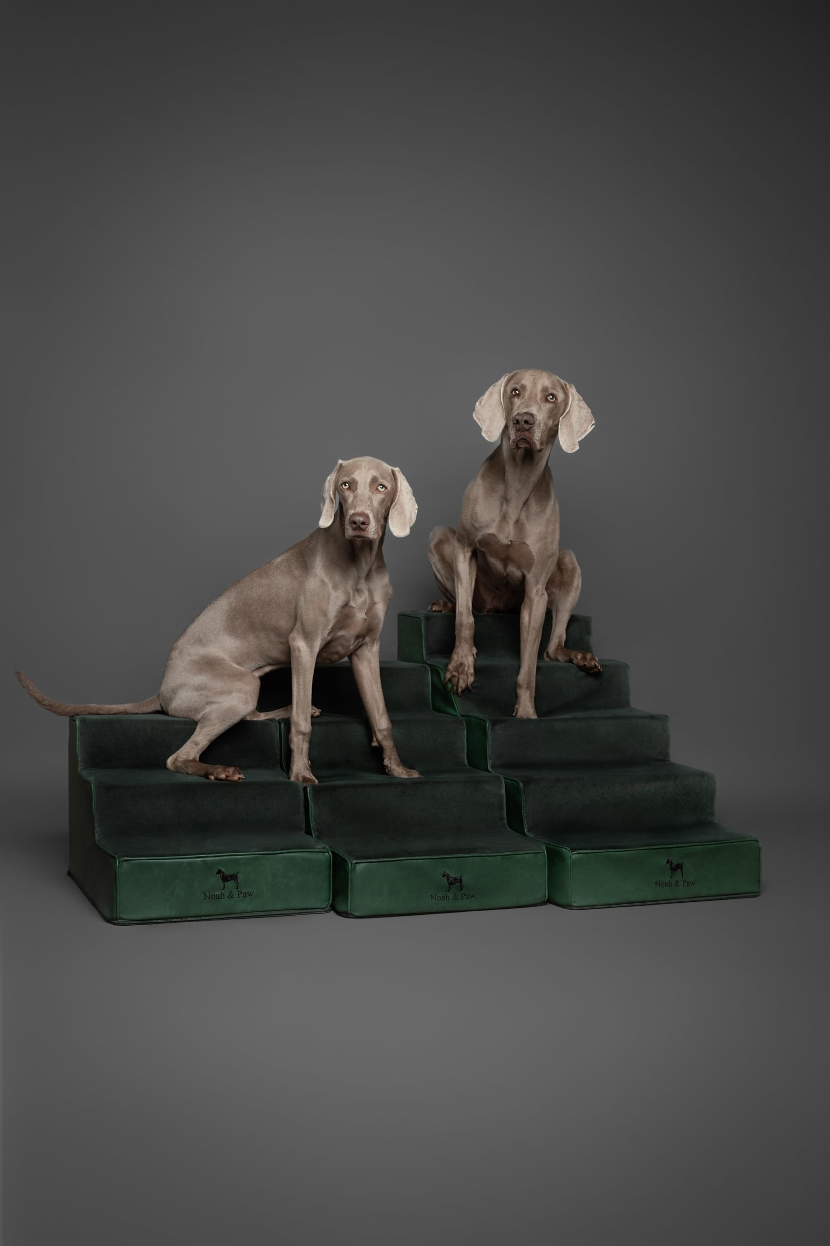 Noah & Paw texture du revêtement en cuir végan pour confort et élégance