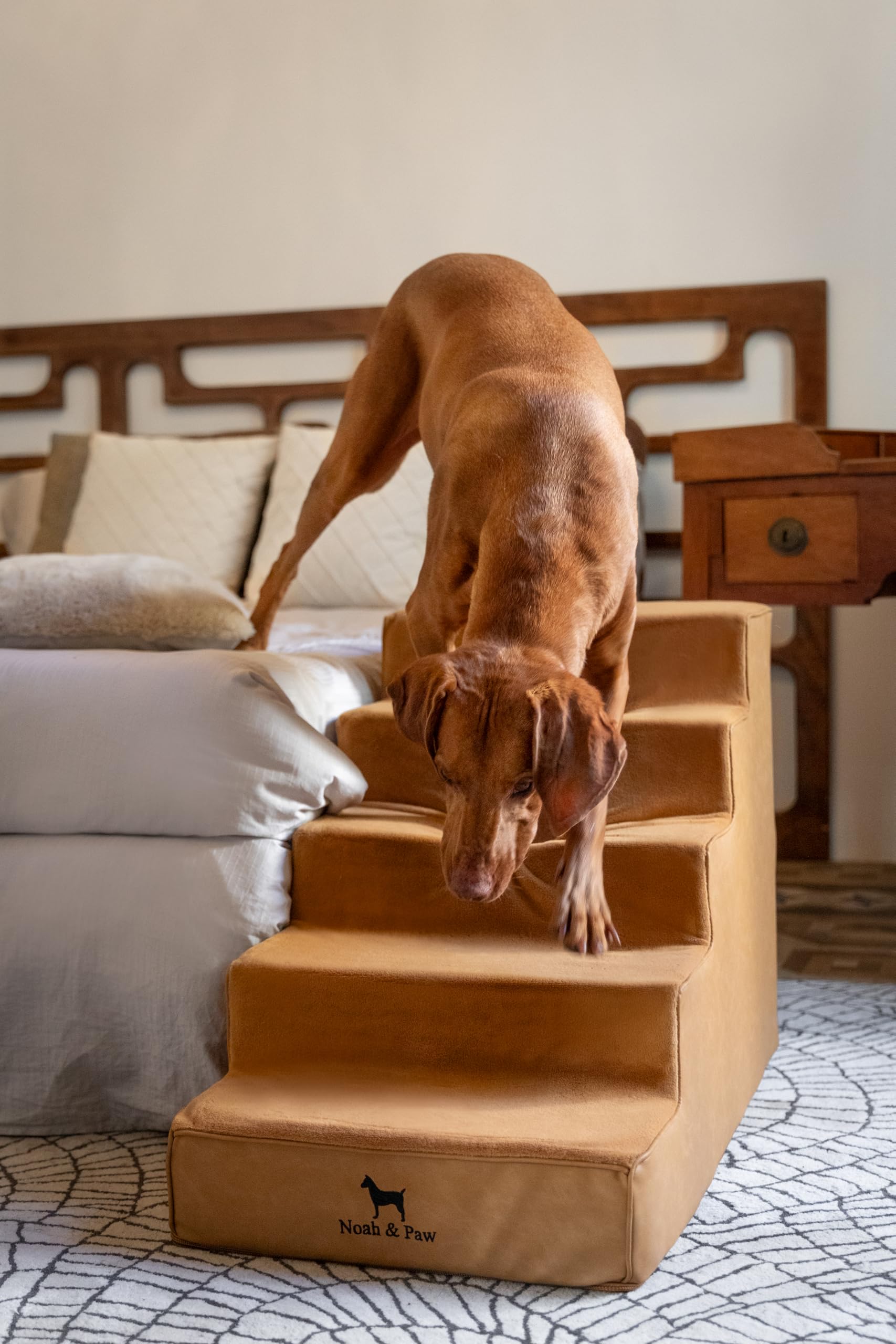 Noah & Paw coupe mousse haute densité offrant soutien durable