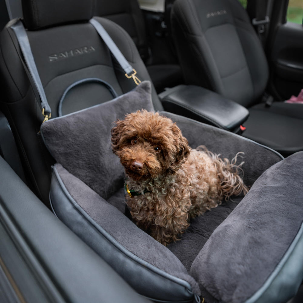 NOAH & PAW coupe mousse mémoire pour soutien ergonomique