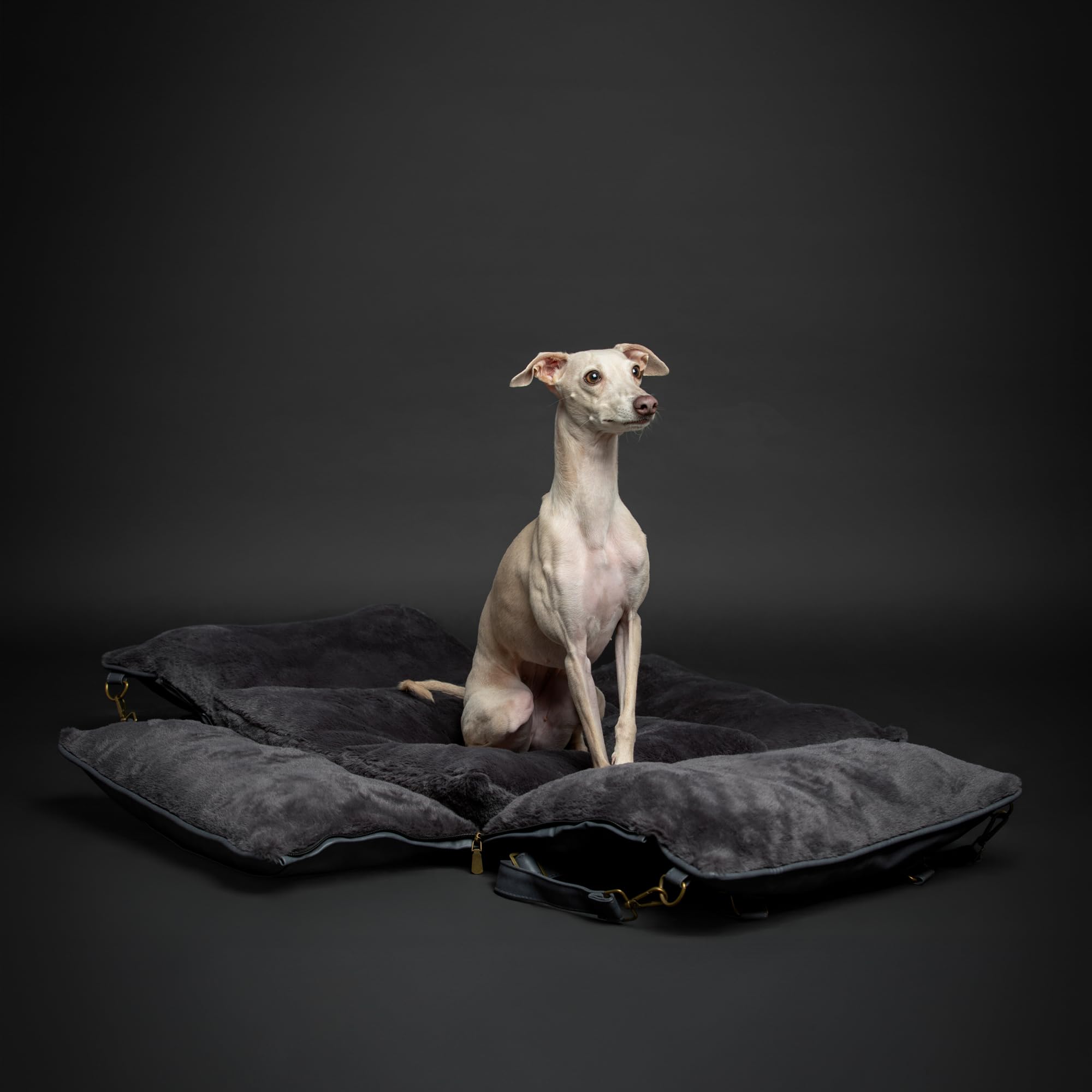 NOAH & PAW poignées renforcées pour transport simple et sûr