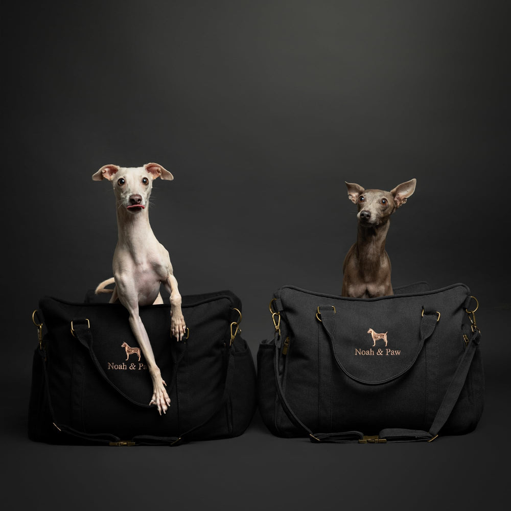 Noah & Paw poignées robustes facilitant le transport du panier