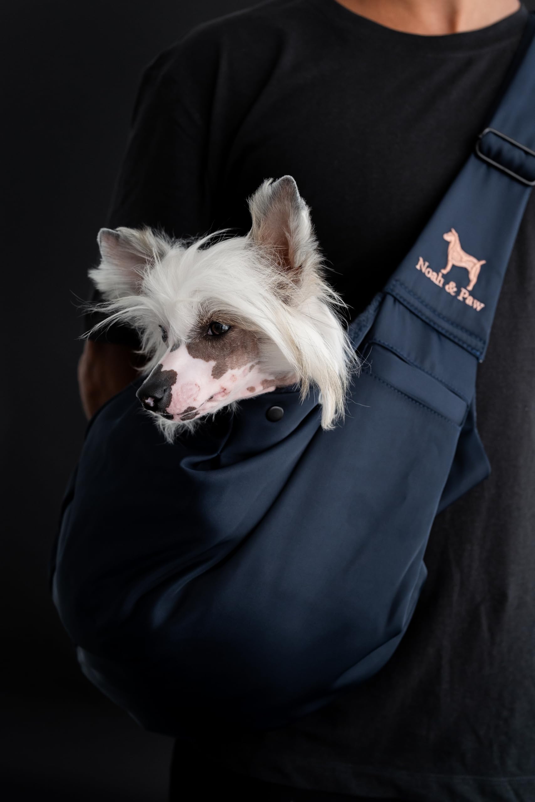 NOAH & PAW porte-chien en usage lors d'une promenade urbaine confortable