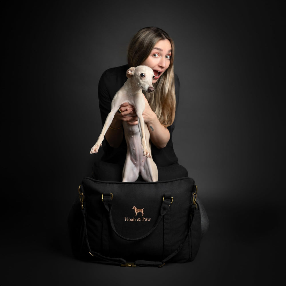 Noah & Paw sangles et boucle clip assurant fixation sécurisée et pratique