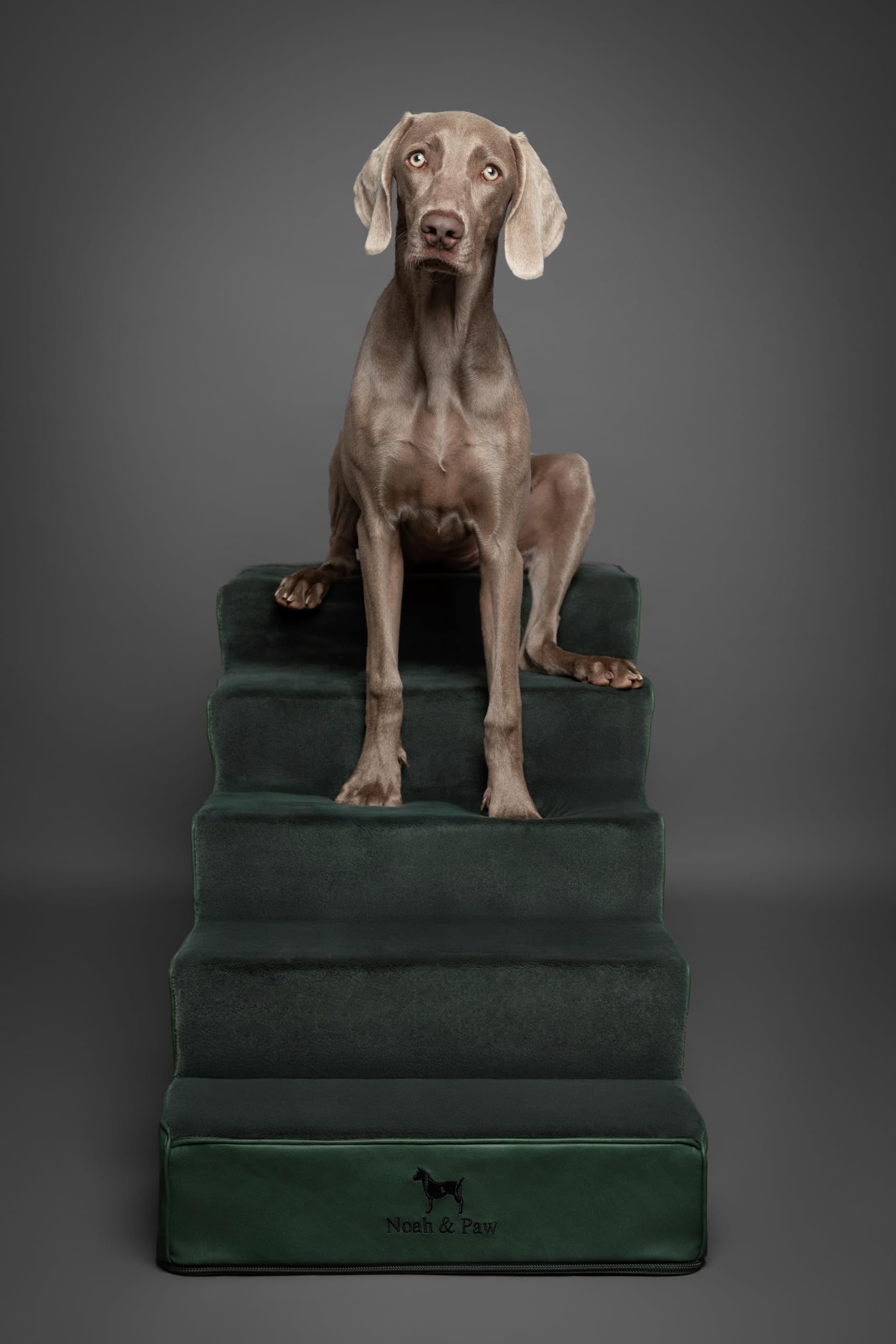 NOAH & PAW comparaison de taille montrant largeur extra-large