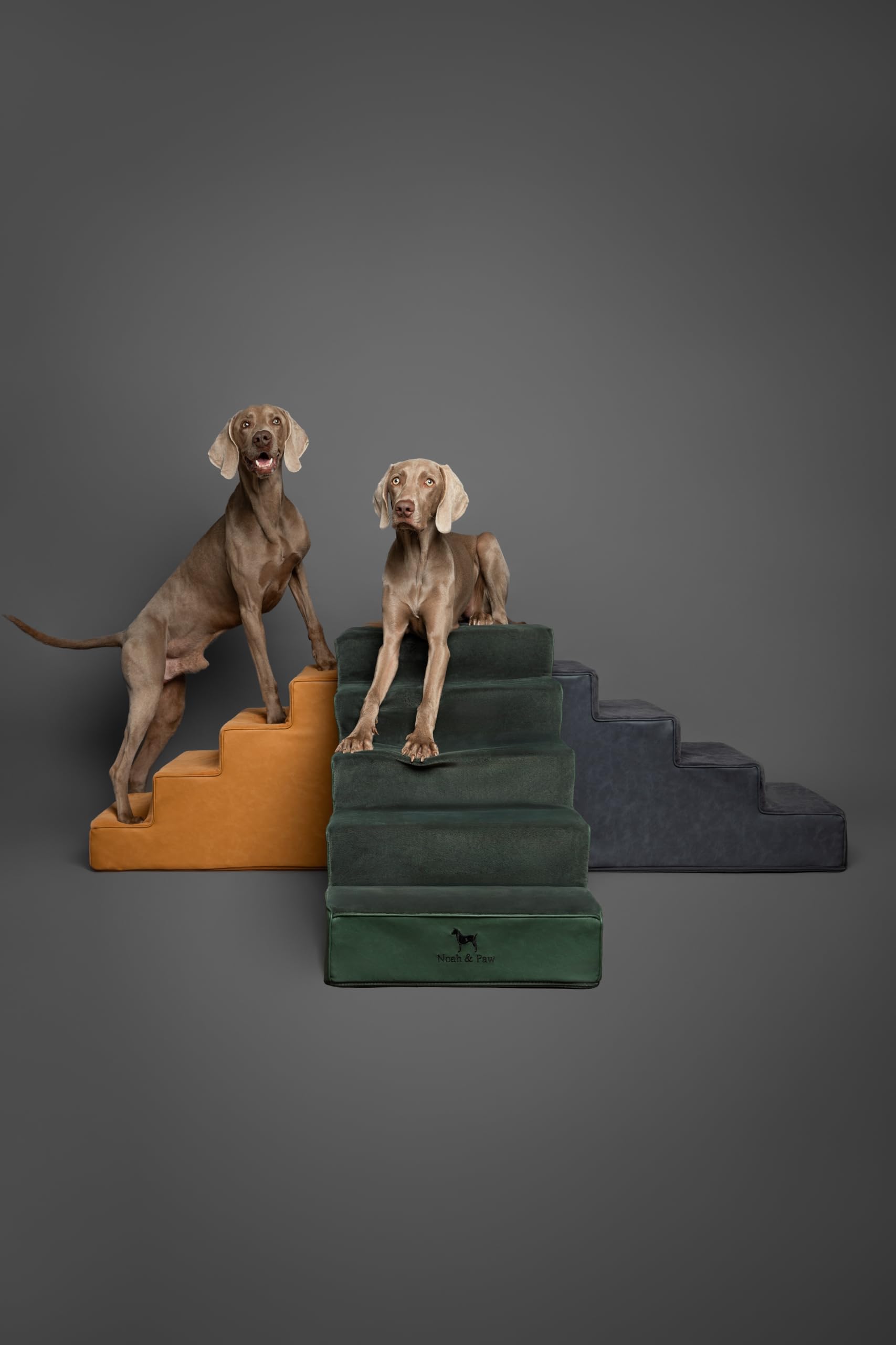 NOAH & PAW dans une chambre moderne alliant style et utilité