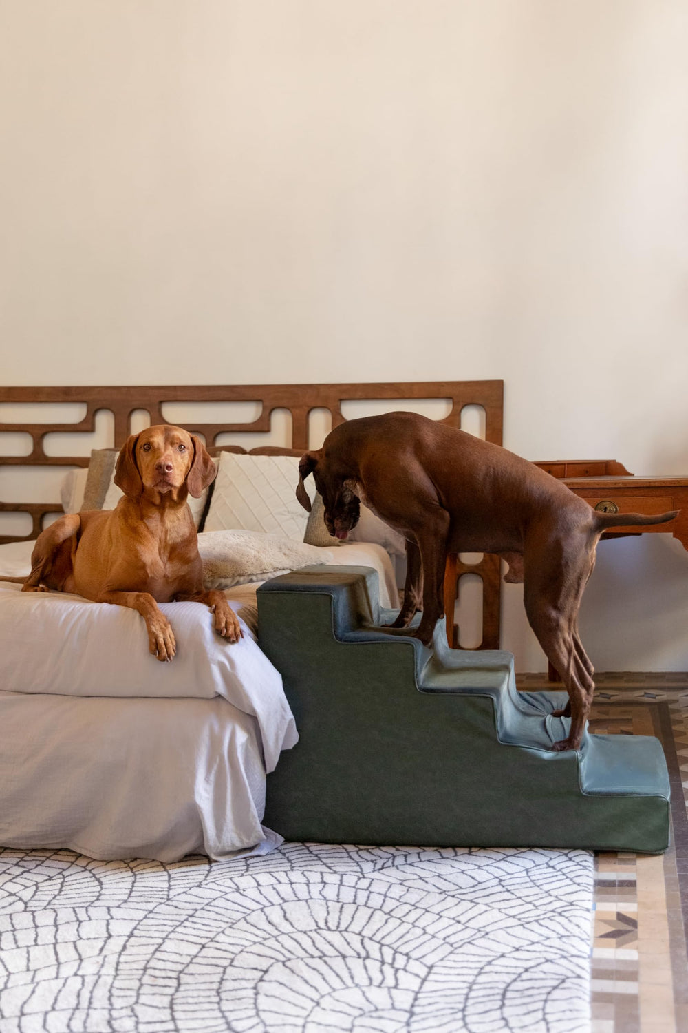 NOAH & PAW similicuir élégant qui s'intègre au décor