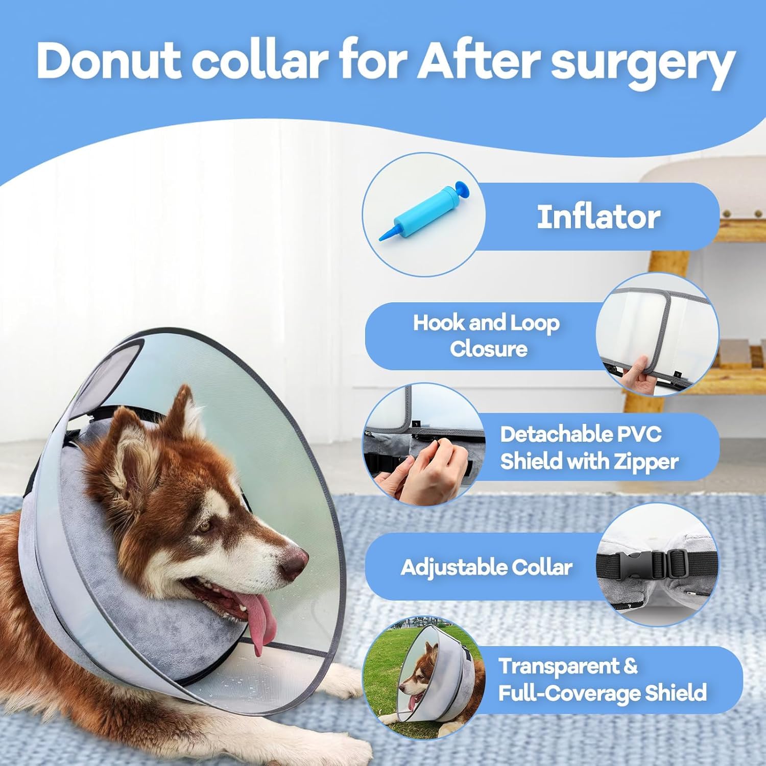 NoarWin collierette portée par chien illustrant confort et mobilité