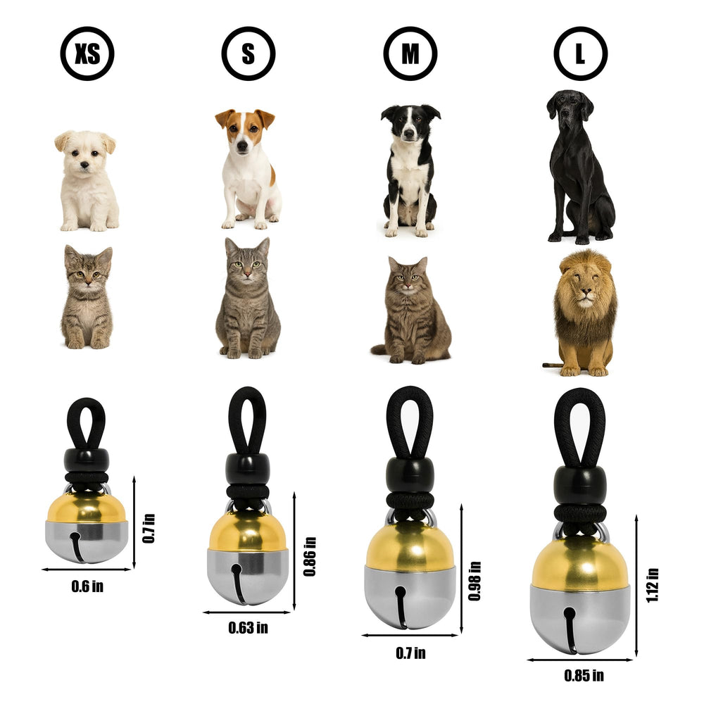 Noble Bells en contexte lifestyle sur un petit chien montrant usage quotidien sûr
