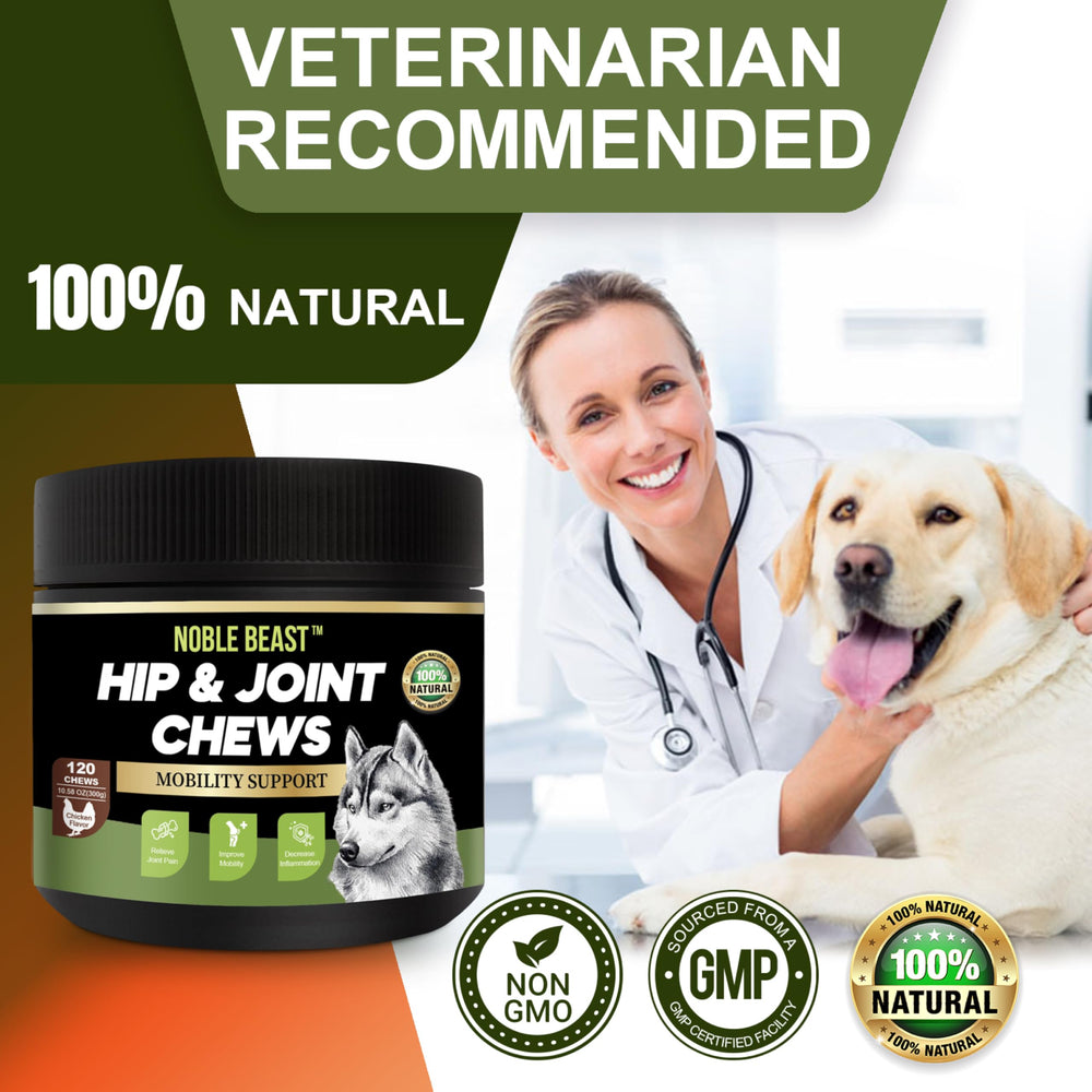 Chien prenant une friandise Noble Beast, favorise récompense facile et administration quotidienne