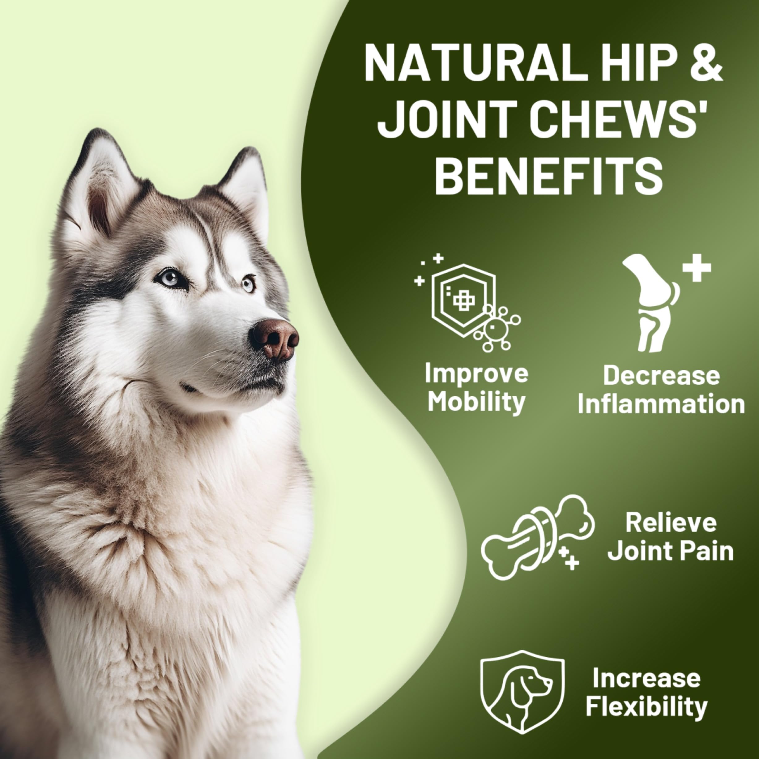 Étiquette Noble Beast montrant glucosamine chondroïtine MSM et ingrédients naturels