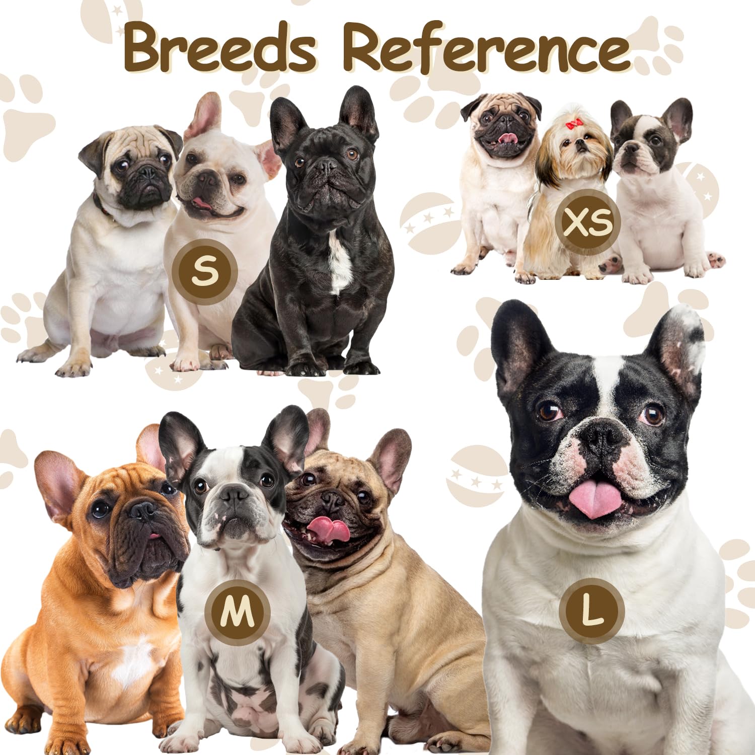 NobletTail comparaison taille illustrant ajustement S sur un bouledogue français