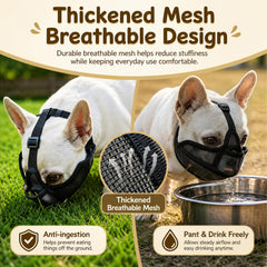 NobletTail gros plan sur la maille dense assurant protection anti-griffures