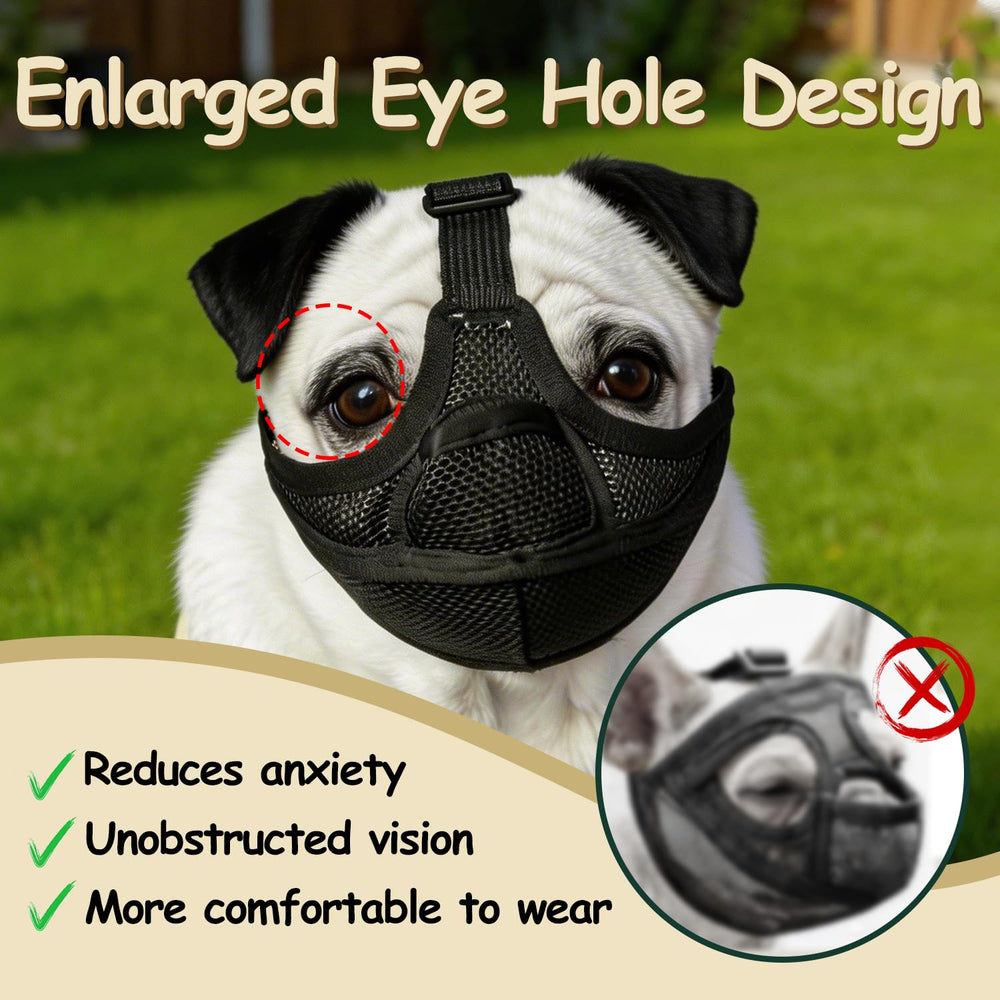 NobletTail profil montrant design open-eye laissant le chien voir clairement