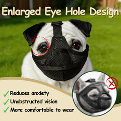 NobletTail profil montrant design open-eye laissant le chien voir clairement