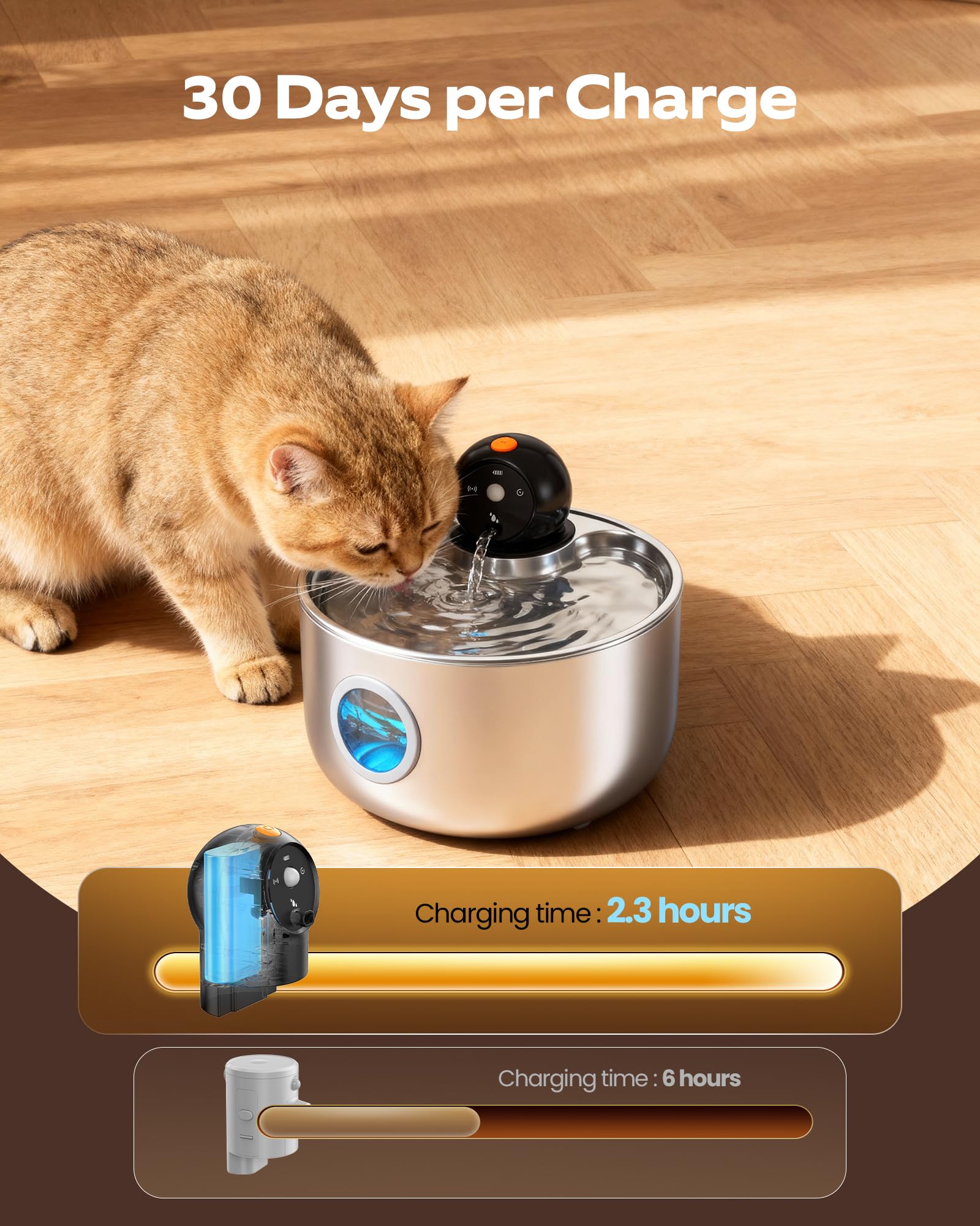 NOBXBON sphère sensorielle gros plan attire le chat et stimule la boisson
