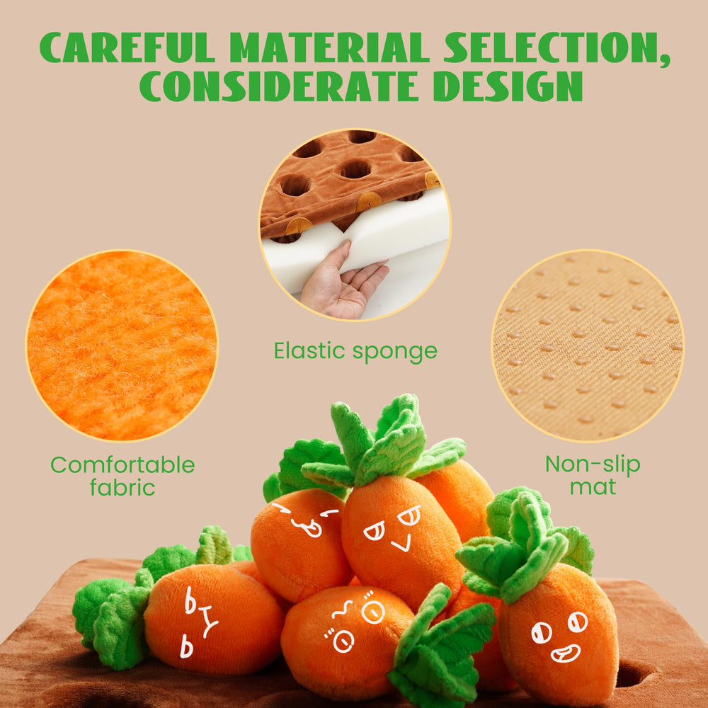 Nocciola comparaison de taille avec une main pour visualiser l'échelle