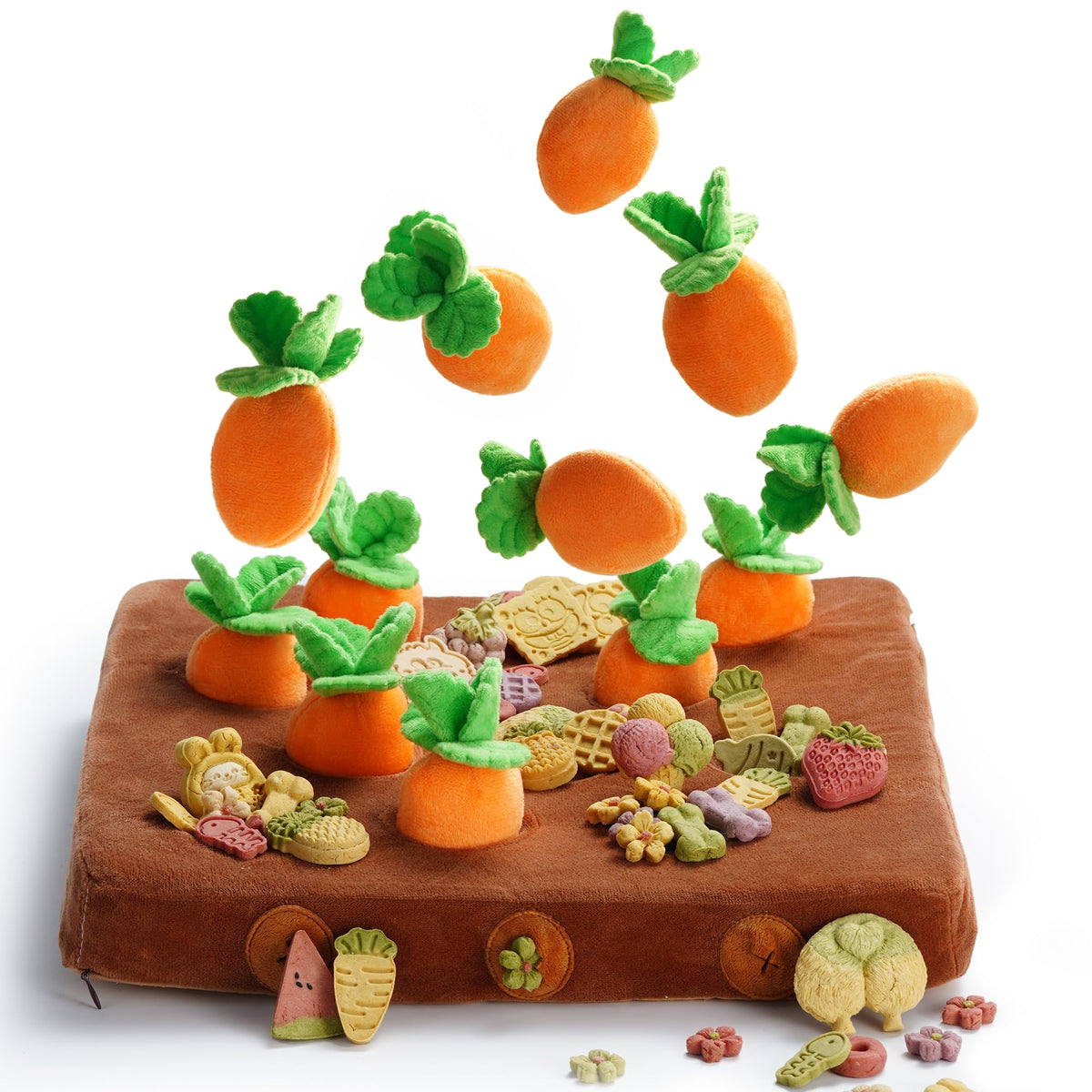 Nocciola face avant du tapis et ensemble de 12 carottes, amusant pour l'activité