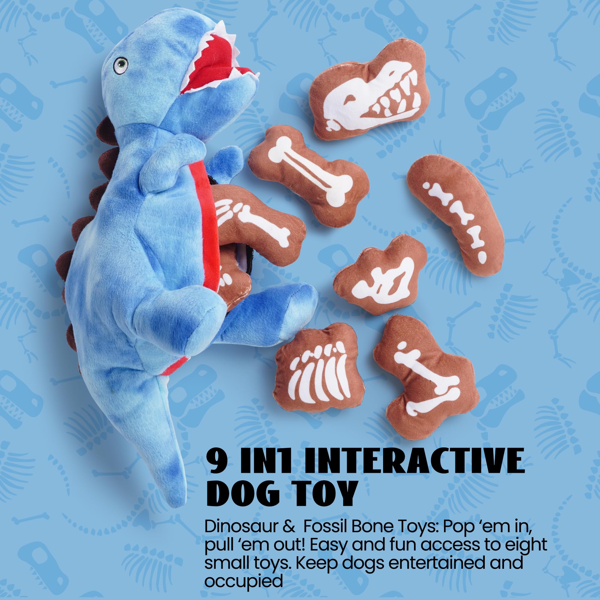 Nocciola dinosaure ventre ouvert exposant poche pour cacher fossiles