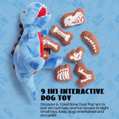 Nocciola dinosaure ventre ouvert exposant poche pour cacher fossiles