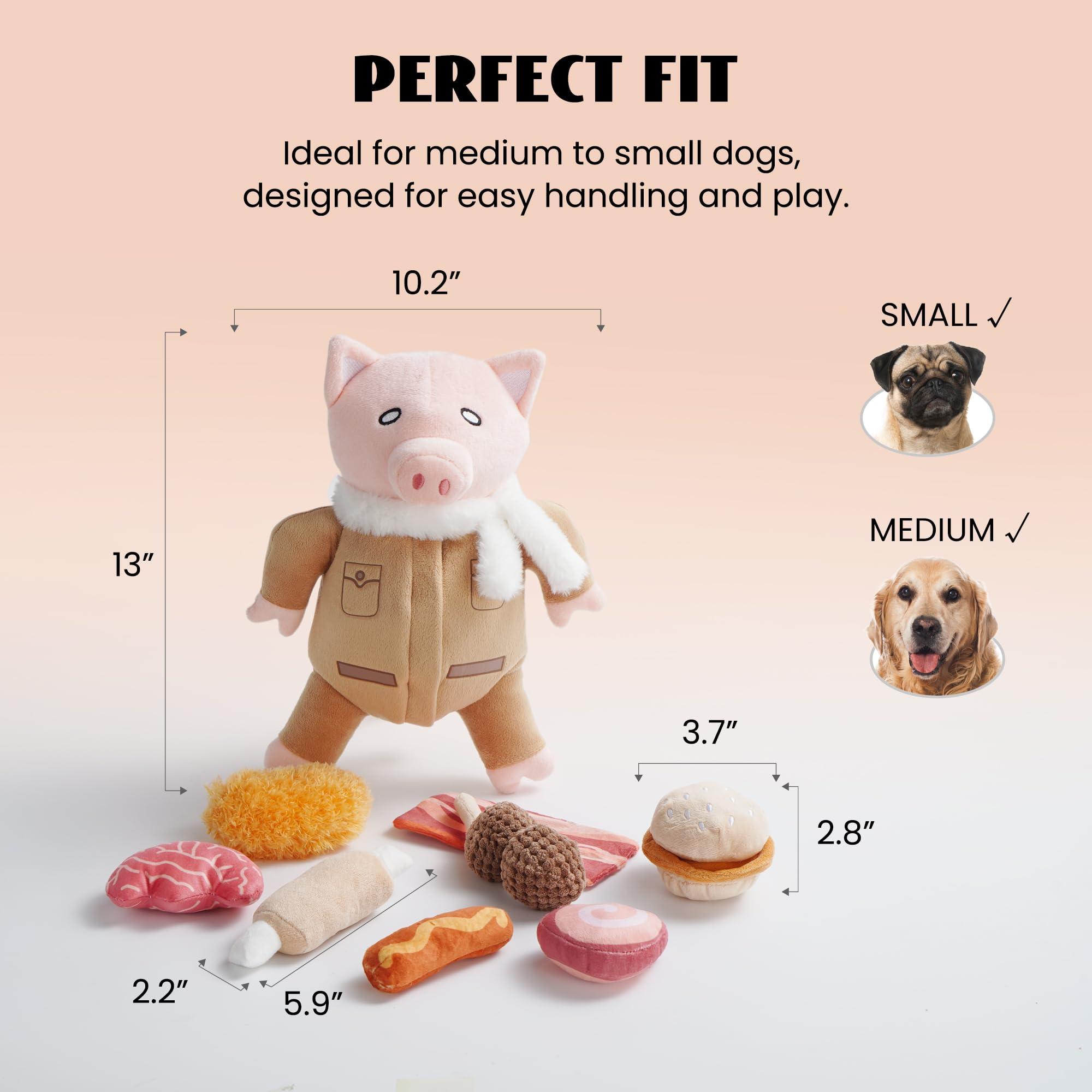 Nocciola jouet en usage avec un chien montrant engagement et stimulation mentale
