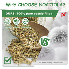 Nocciola gros plan sur la texture du tissu doux montrant durabilité et confort pour les dents