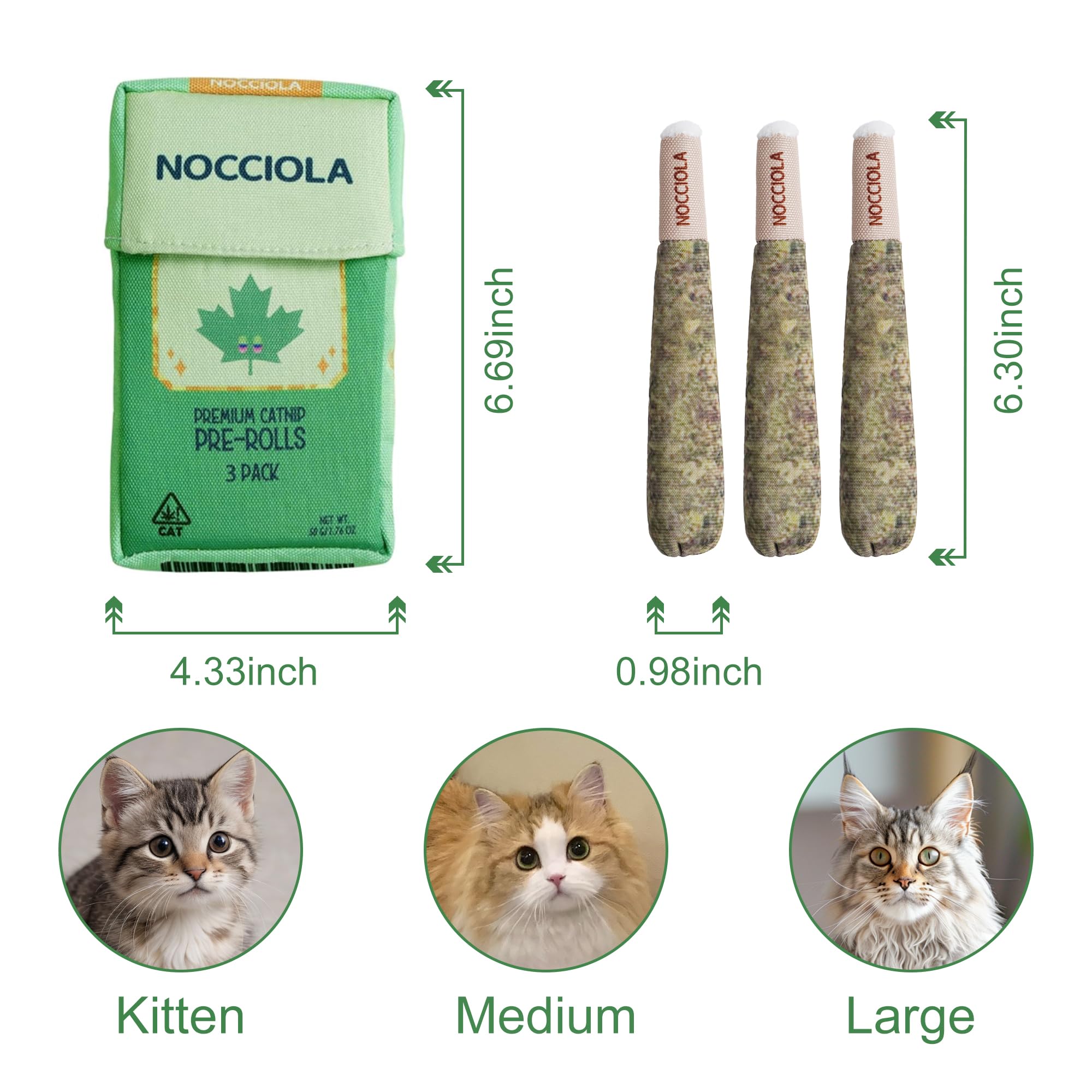Nocciola gros plan sur la texture douce offrant confort et résistance pendant la mastication