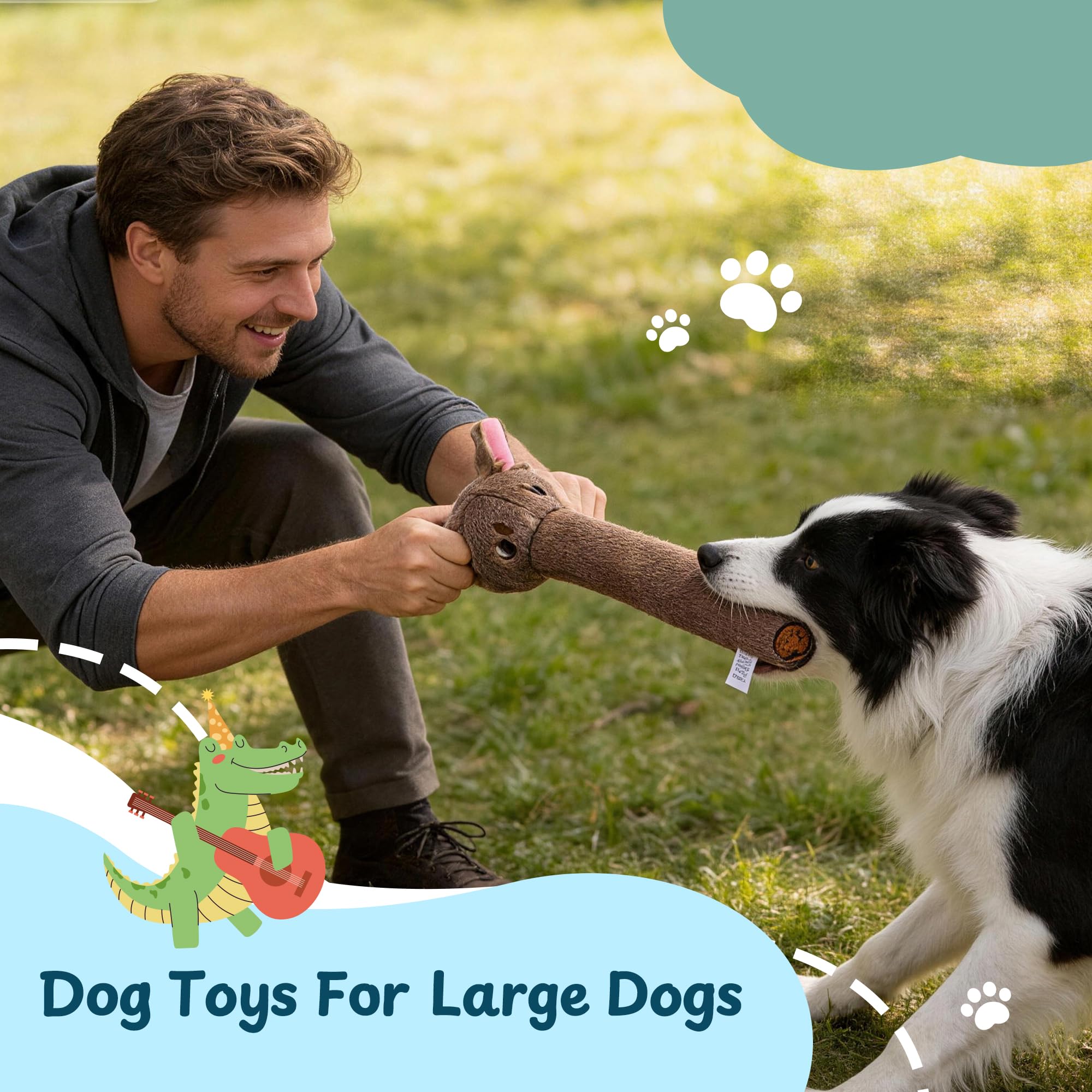 Nocciola jouet dans la bouche du chien encourage activité physique