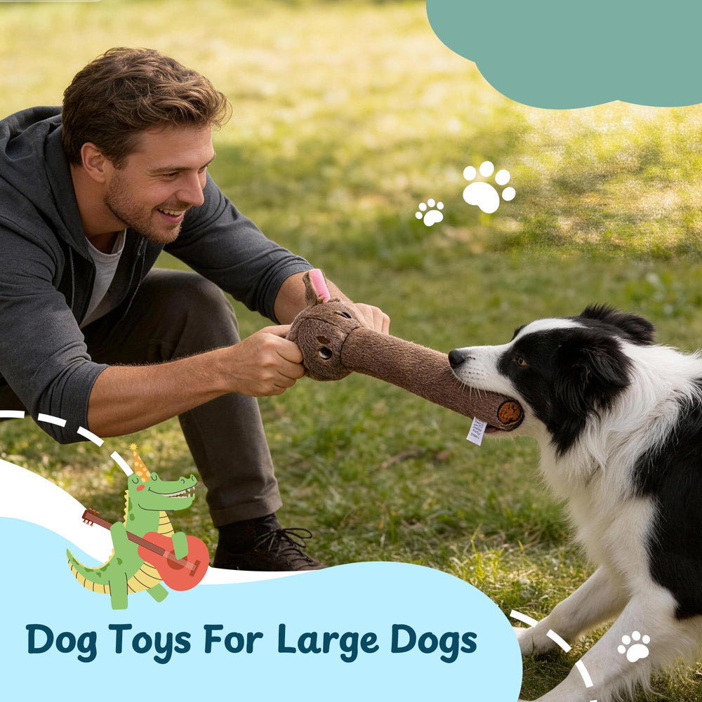 Nocciola jouet dans la bouche du chien encourage activité physique