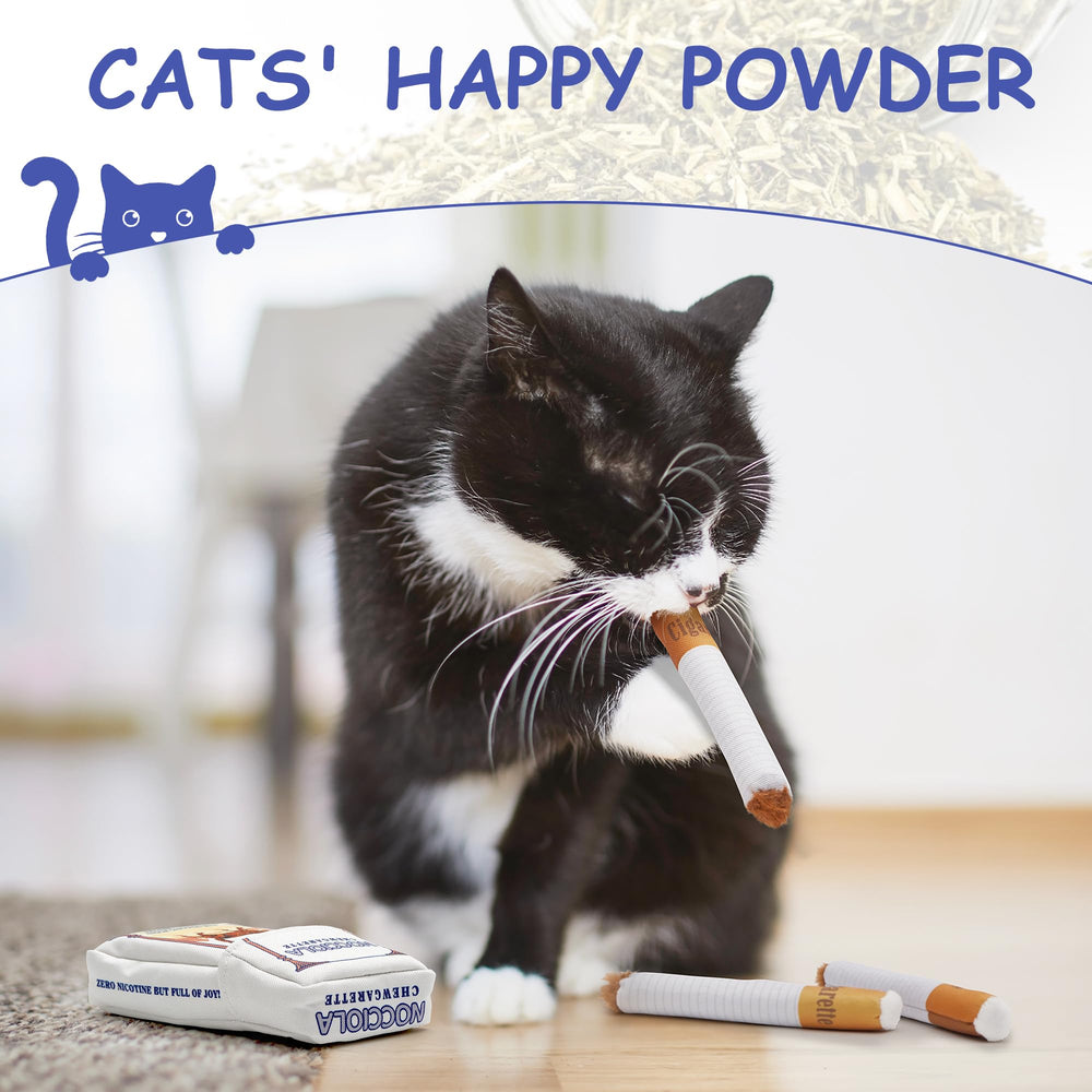 Nocciola jouet en utilisation avec chat en pleine session de kicker actif