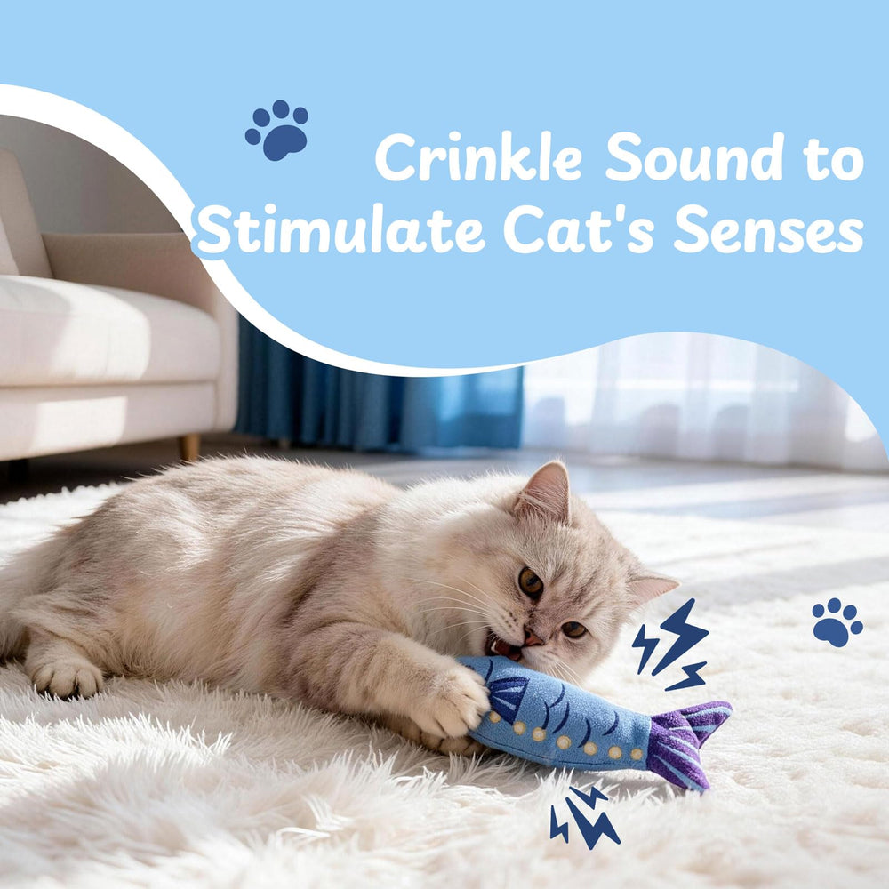 Chat jouant avec Nocciola sardine, favorise exercice et chasse