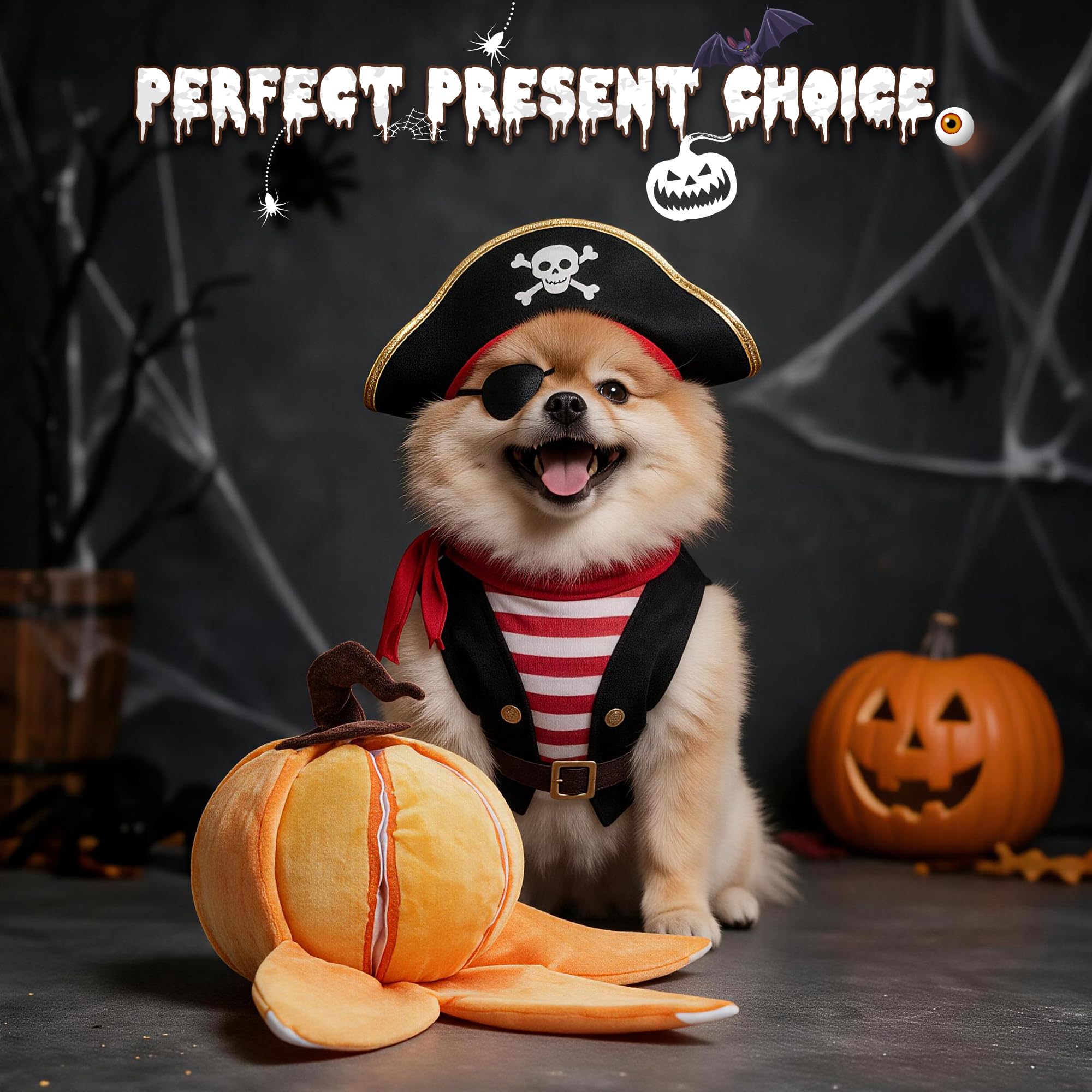 Nocciola mise en scène Halloween avec famille, crée moment ludique partagé