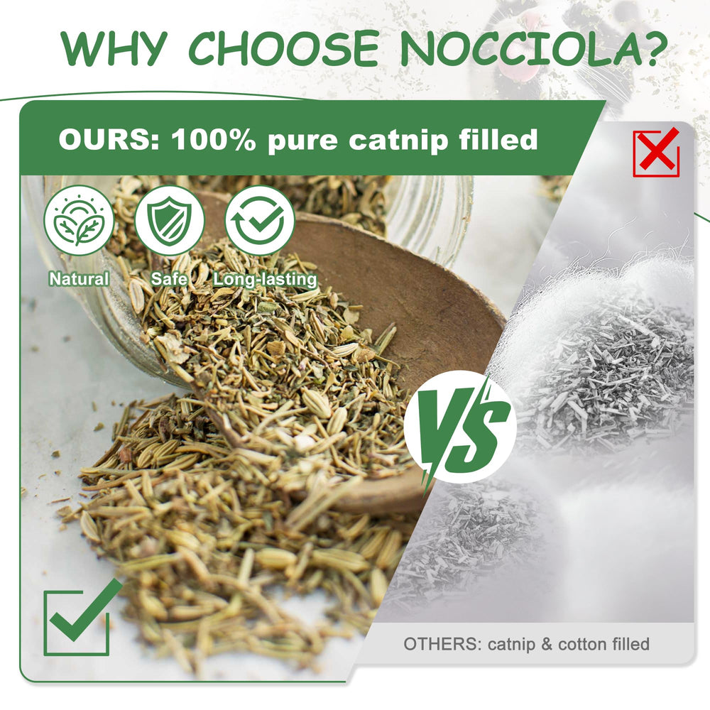 Nocciola comparaison taille main montrant dimensions adaptées aux pattes du chat