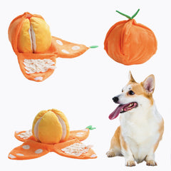 Nocciola tangerine face avant montrant forme et couleurs attractives