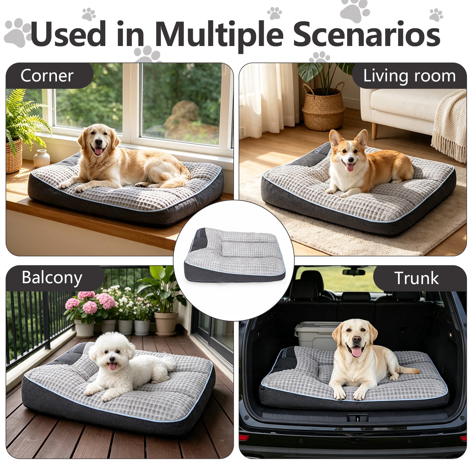 NOFKYNOXA ambiance lifestyle chien détendu près d’un canapé
